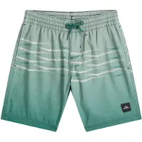 O'Neill Badeshorts gran / lysegrøn / hvid