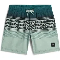 O'Neill Badeshorts mint / mørkegrøn / sort