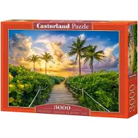 Castorland Puslespil 3000 Farverig solopgang i Miami, USA