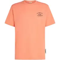 O'Neill Melange Chest Print T-shirt Med Korte ærmer