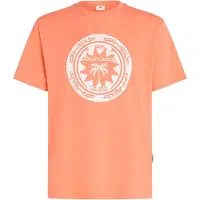 O'Neill Musthave Graphic T-shirt Med Korte ærmer