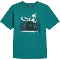 O'Neill Slub Graphic T-shirt Med Korte ærmer