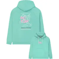 Picture - Sweatshirts dame - Queran Hoodie W Wasabi til UnisexBomuld - Størrelse XS - Grøn