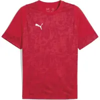 Puma Trænings T-Shirt teamCUP - Rød/Silver/Rød, størrelse XX-Large