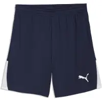 Puma Sportsbukser 'TeamLIGA26' navy / hvid