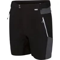 Regatta Mountain Shorts