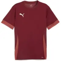 Puma Trænings T-Shirt teamGOAL - Bordeaux/Hvid Børn, størrelse 152 cm