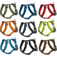 Hunter Sæt: Hundesnor + hundesele London, grøn - Sele str. M + Line 200 cm / 15 mm