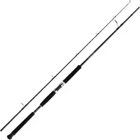 Shimano Fishing Beastmaster Ax Pilk Jigging Stang