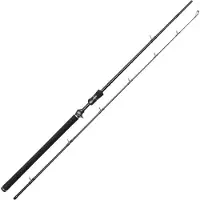 Westin W3 Jerkbait T Baitcastingstang