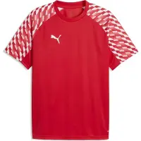 Puma Funktionsskjorte 'TeamLiga26' rød / brandrød / hvid
