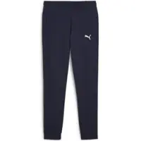 Puma Sportsbukser 'TeamGOAL' marin / hvid
