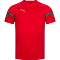 Puma Trænings T-Shirt teamFINAL - Rød/Grå, størrelse Medium