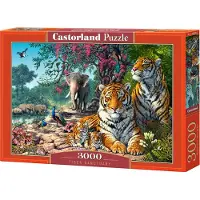 Castorland Puslespil 3000 Tigerreservat