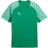 Puma Trænings T-Shirt teamLIGA26 - Grøn/Hvid Børn, størrelse 128 cm