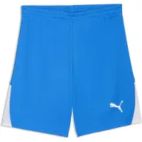 Puma Sportsbukser 'TeamLiga26' himmelblå / hvid