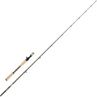 Abu Garcia Beast Pro2 Baitcastingstang