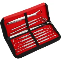 INF Tandplejeværktøj 9 dele med etui Silver