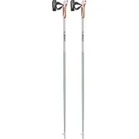 LEKI Nordic Walking-pinde Passion green 110