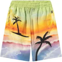 Molo Shorts - Adi - Airbrush - - 6 år (116) - Shorts