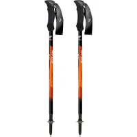 Fizan Compact Vandrestok