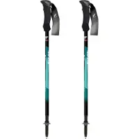 Fizan Compact Vandrestok