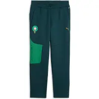 Puma Morocco PUMATECH Sweatpants Men, Football, Green Terrain/Victory Gold, L