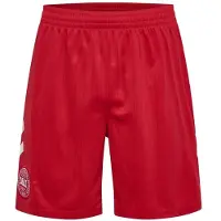 Hummel Danmark Udebaneshorts 2026/27 - , størrelse Medium