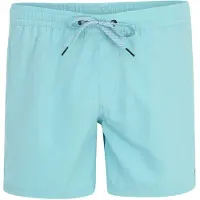 Quiksilver Everyday Solid Volley 15 Boardshorts blå