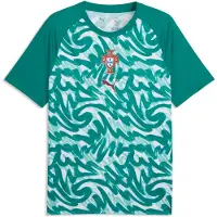 Puma Portugal Warmup Jersey Men, Football, Green Lagoon/Ruby Shimmer, S