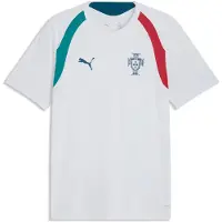 Puma Portugal Slim Training Jersey Men, Football, Silver Mist/Ocean Tropic, XS