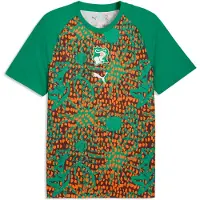 Puma Côte d'Ivoire Warmup Jersey Men, Performance, Sport Green/Chocolate Brown, L