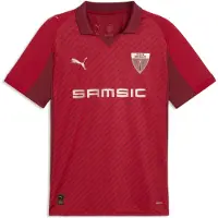 Puma Stade Rennais F.C. 125th Jersey Men, Football, Dark Crimson/Rose Gold, S