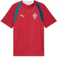 Puma Portugal Slim Training Jersey Men, Football, Club Red/Silver Mist, 3XL