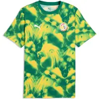 Puma Senegal ftblCulture Printed Tee Men, Performance, Wild Green/Pelé Yellow, 3XL