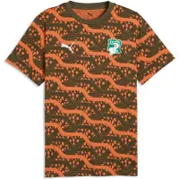 Puma Côte d'Ivoire ftblCulture Printed Tee Men, Performance, Loden Green/Melon Glow, L
