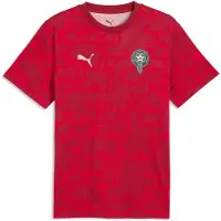 Puma Morocco ftblCulture Tee Printed Men, Football, Dark Crimson/Alpine Snow, XXL