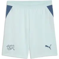 Puma Switzerland 2026 Shorts Men, Sport, Sea Glass/Dark Indigo, S