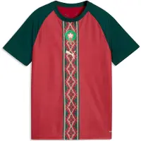 Puma Morocco Warmup Jersey Youth, Football, Dark Crimson/Dark Myrtle, 15-16Y