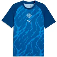 Puma Iceland Warmup Jersey Men, Performance, Clyde Royal/Haute Tropic, S