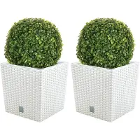 Wellhome Prosperplast 32l S Set Blomsterpotte 2 Enheder