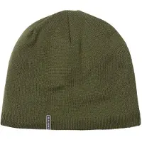 Sealskinz Cley, beanie, grøn