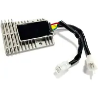 Tecnium 21187 Regulator/ensretter