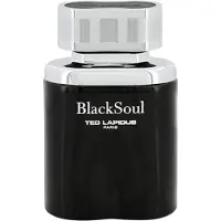 Ted Lapidus Blacksoul 50ml Eau De Toilette