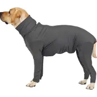 INF Heldragt til hunde - justerbart design XXL