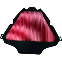 Champion Caf0921 100606255 Luftfilter