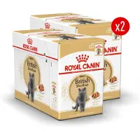 Royal Canin British Shorthair Wet - 24 x 85 g