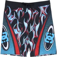 Dc-shoes Sylem 21´´ Badeshorts