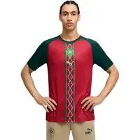 Puma Morocco Warmup Jersey Men, Football, Dark Crimson/Dark Myrtle, M