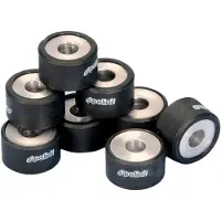 Polini 242223 Variatorruller 8 Stykker